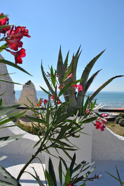 Hotel Falcone Vieste Kültér fotó